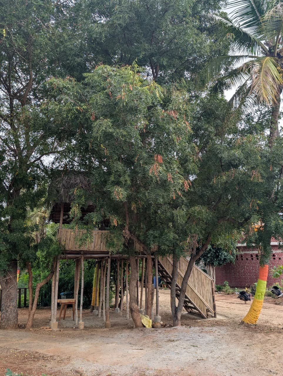 Maha Dhanvanthri Gallery Image 10