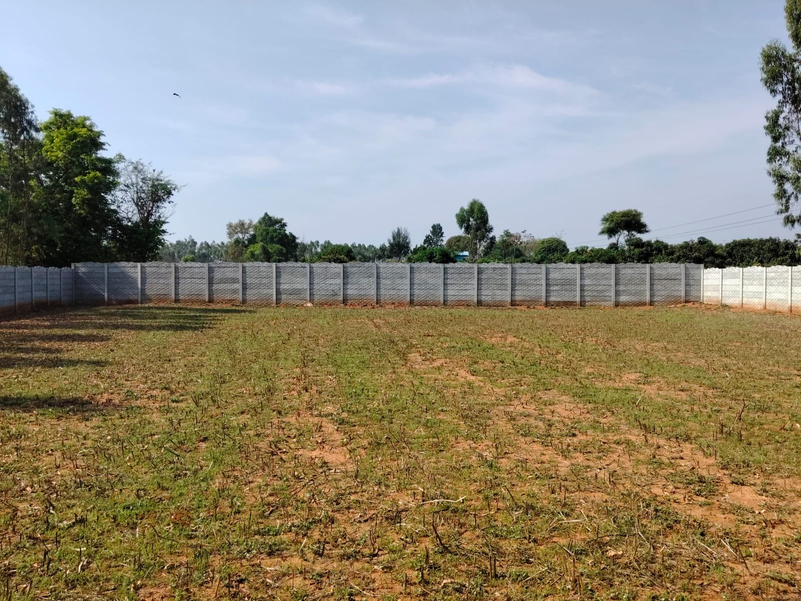Neelgiris Gallery Image 1