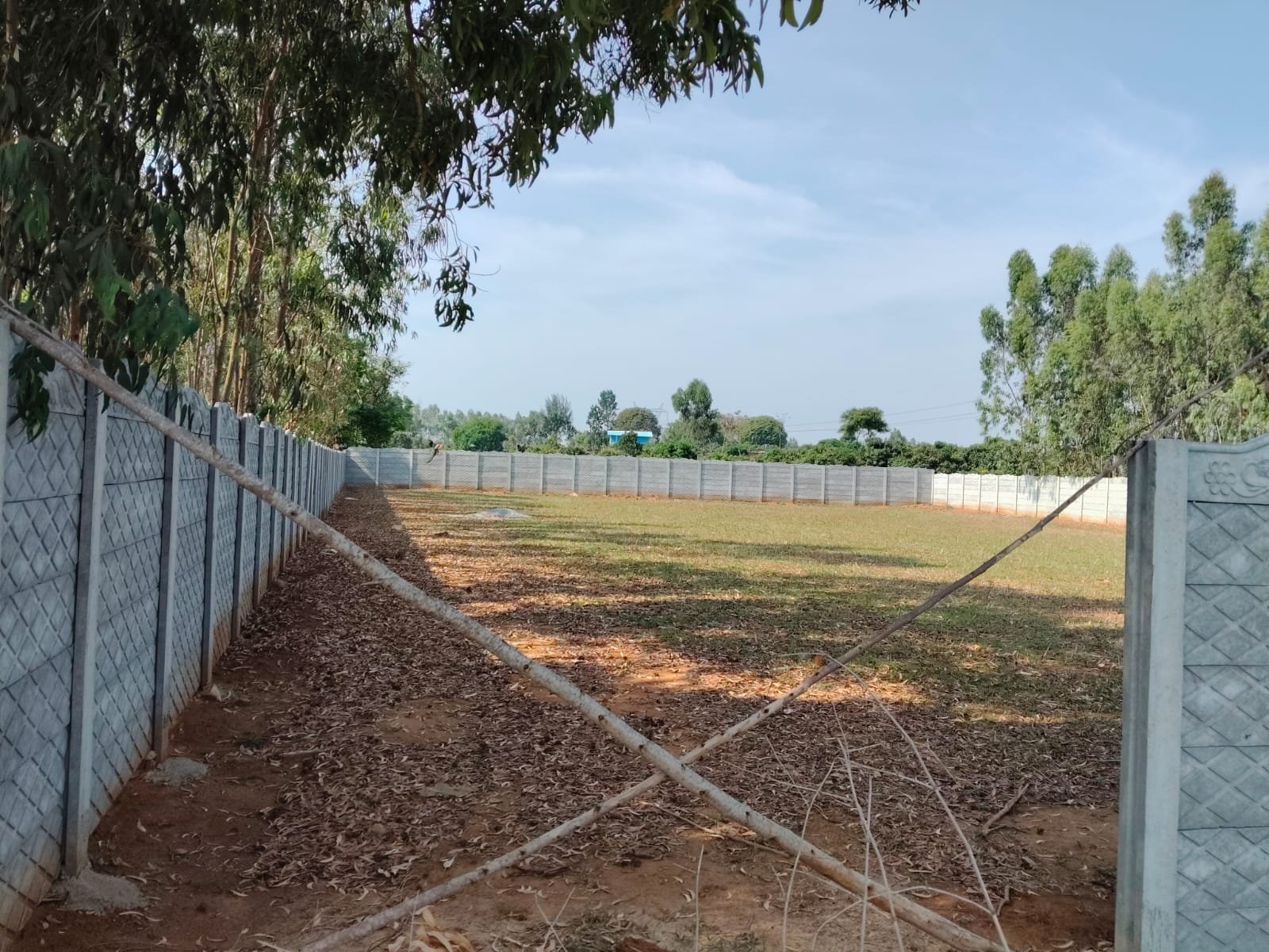 Neelgiris Gallery Image 2
