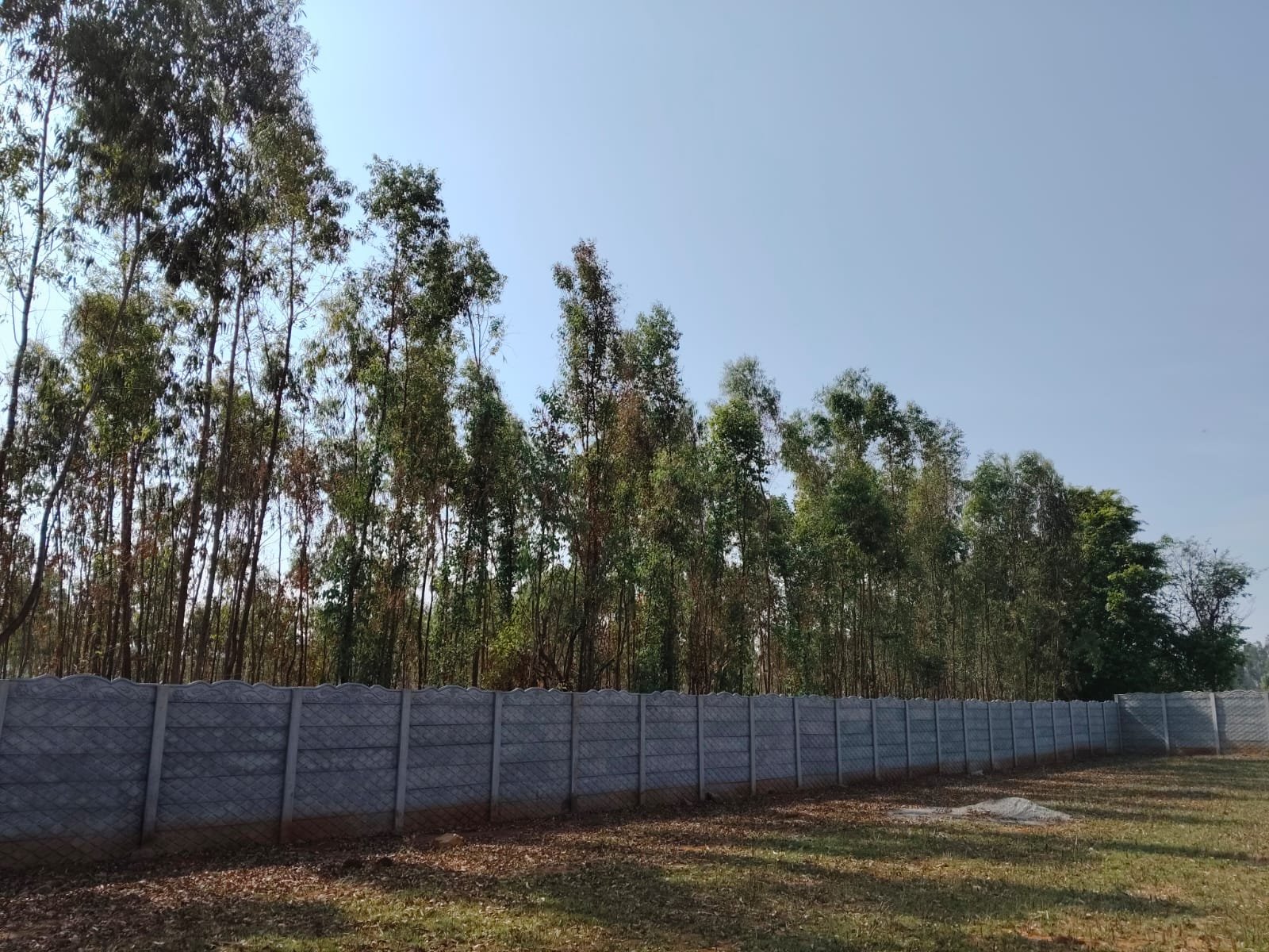 Neelgiris Gallery Image 4